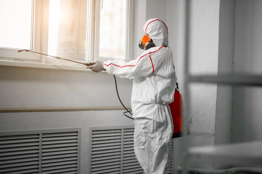 Professional mold remediation services in Winterville, GA